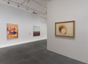 claire-chesnier-dans-le-flou_2025-dans-le-flou-musee-orangerie-photo.-fabrice-seixas-1.jpg