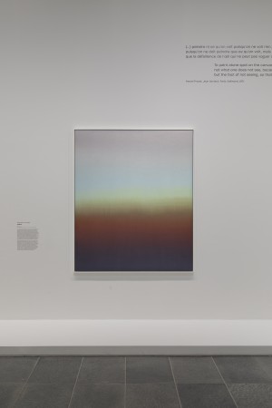 claire-chesnier-dans-le-flou_2025-dans-le-flou-musee-orangerie-photo.-fabrice-seixas-9.jpg