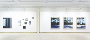 claire-chesnier-landscape-format_expo-03.jpg