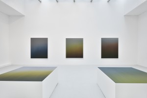 claire-chesnier-resonances_1-resonances-galerie-du-jour-agnes-b.-paris-2016rebecca-fanuele.jpg