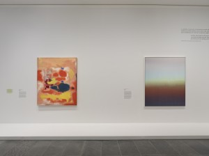 claire-chesnier-dans-le-flou-musee-de-l-orangerie-paris_2025-dans-le-flou-musee-orangerie-photo.-fabrice-seixas-4.jpg