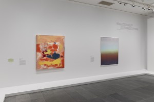 claire-chesnier-desenfocado-caixaforum-madrid_2025-dans-le-flou-musee-orangerie-photo.-fabrice-seixas-15.jpg