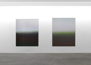 claire-chesnier-the-laws-of-the-imaginary_diptyque-frac-auvergne-1.jpg