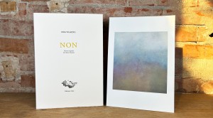 claire-chesnier-tirage-de-tete-non-d-idea-vilareno-editions-unes_tirage-de-tete-claire-chesnier.jpg
